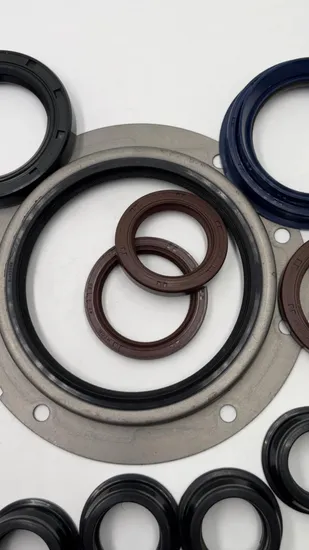 Me024156 55-78-12 Silicon Tc Skeleton High-Quality Mitsubishi Crankshaft Front Oil Seal for Hydraulic Customized